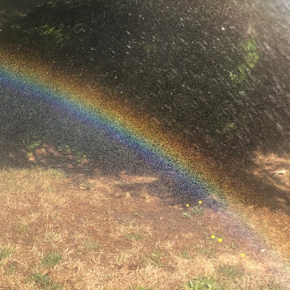 Meet your Posher, Catherine